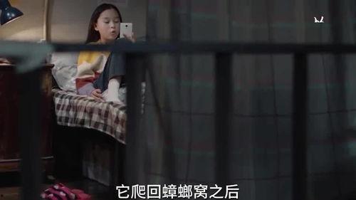 小孩爆料秘密视频,小孩意外曝光家庭秘密视频 第1张 小孩爆料秘密视频,小孩意外曝光家庭秘密视频 第1张