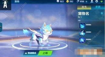 飞车宠物最新爆料,神秘宠物即将亮相，激战一触即发！  第2张